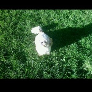 Meet your Posher, Kym